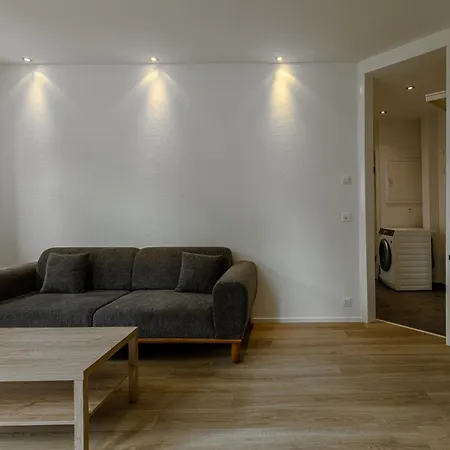 Luxury By Livingdowntown Apartment Zurich