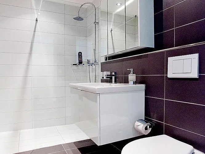 Luxury By Livingdowntown Apartment Zurich